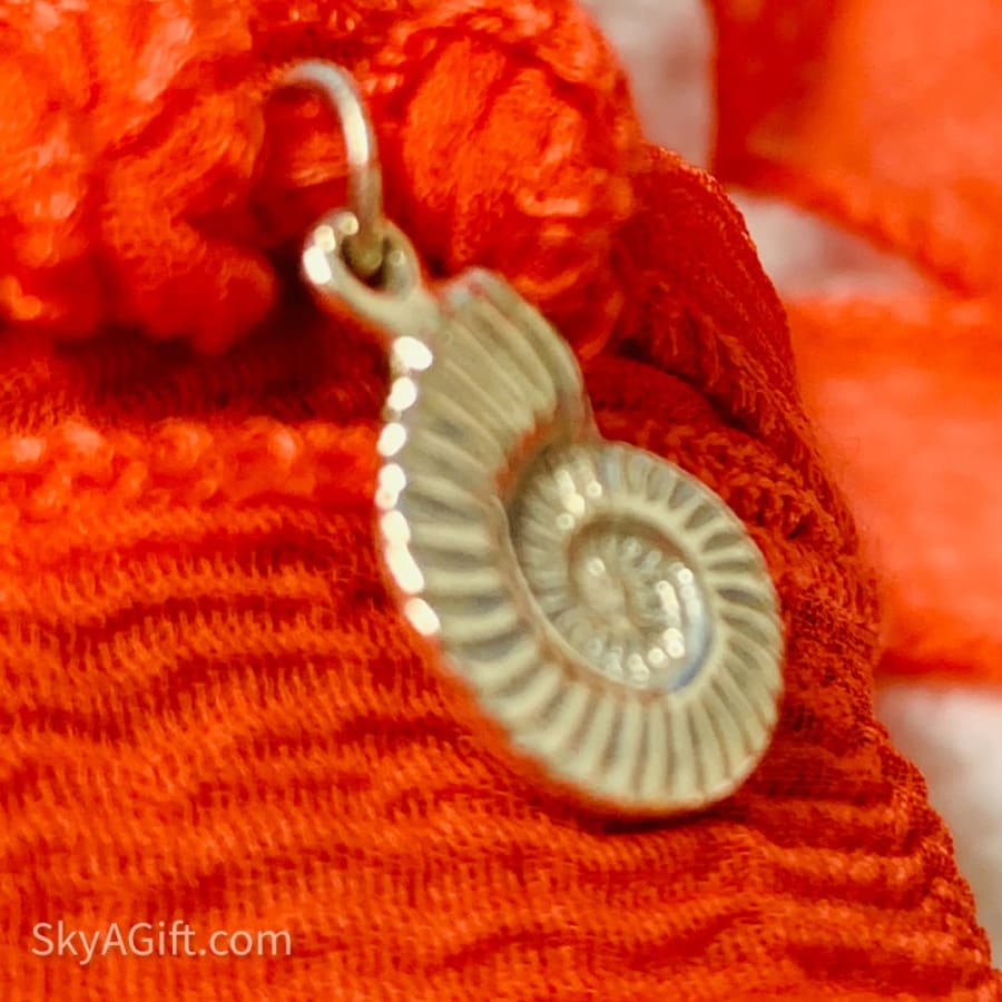 Personalised Silk Charm Bracelet - Ammonite Fossil Silver 