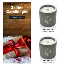 Load image into Gallery viewer, Set of 2 - Unique Wooden Wick Candles in Reusable Concrete 
